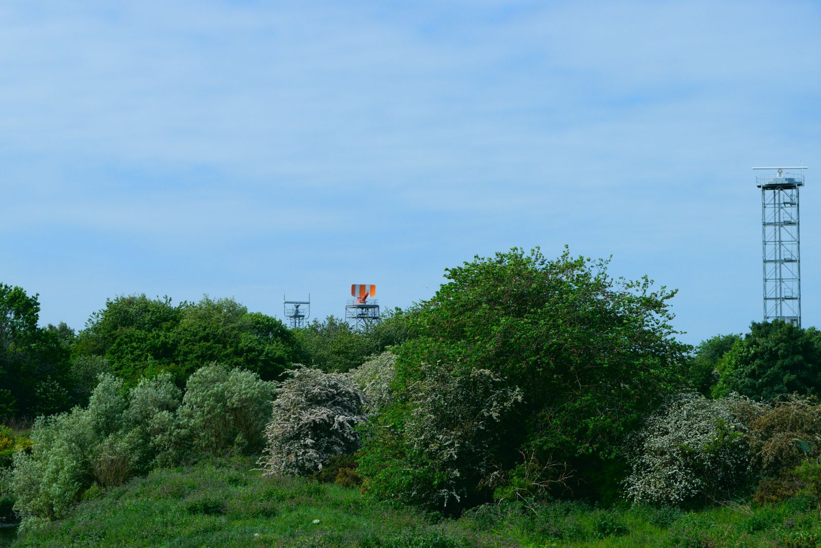 Photograph of decay and reclamation — a human-made structure being given back to time and nature