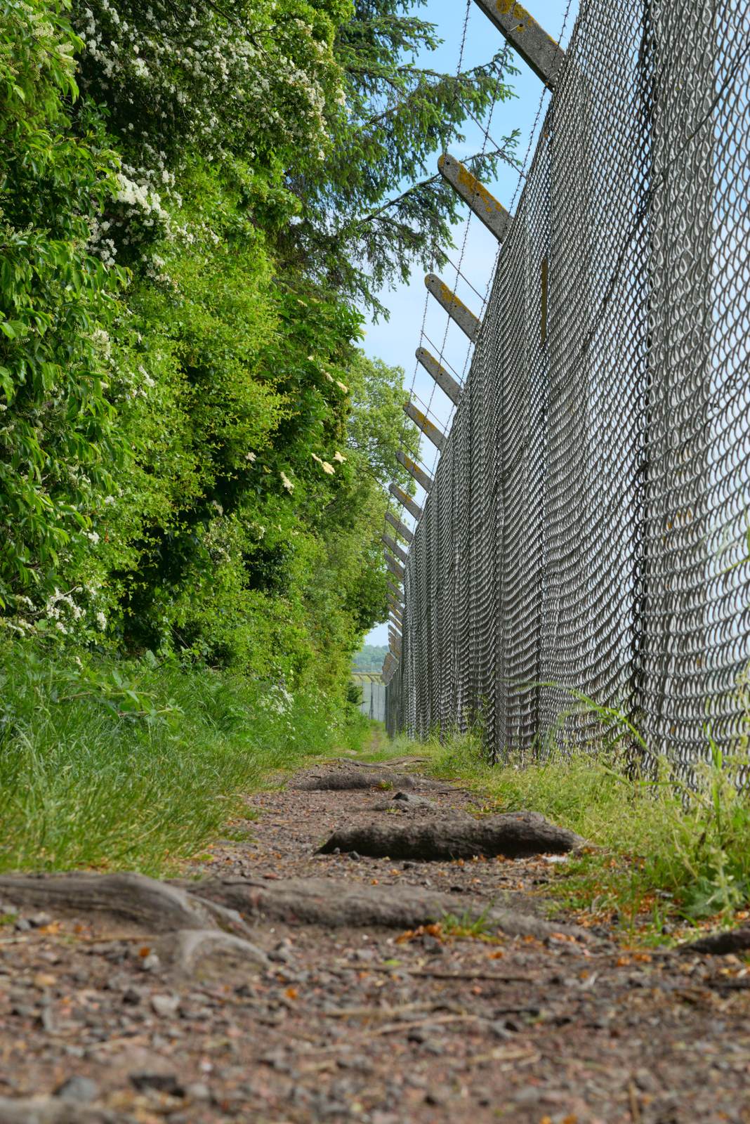 Photograph of decay and reclamation — a human-made structure being given back to time and nature