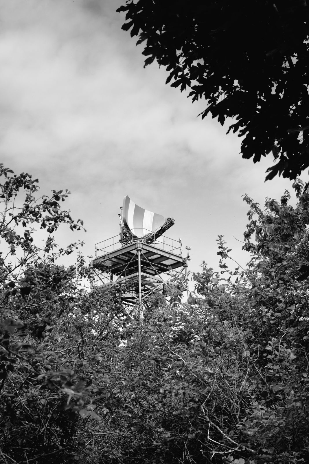 Photograph of decay and reclamation — a human-made structure being given back to time and nature