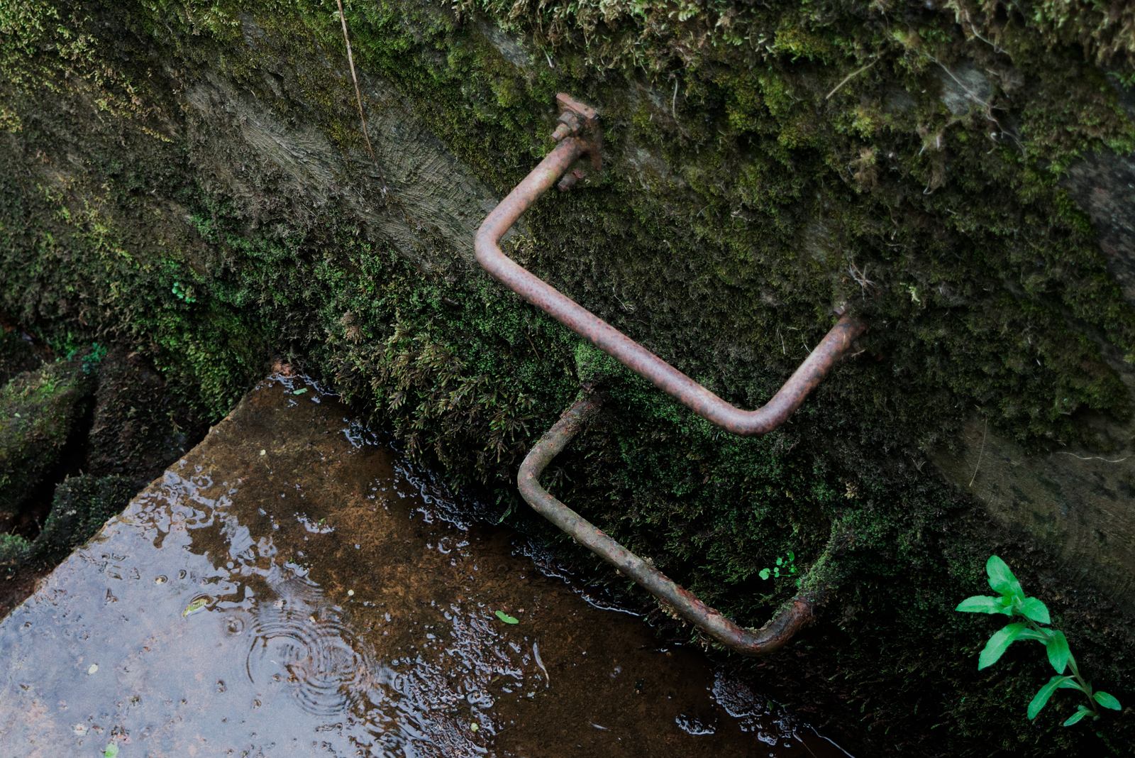 Photograph of decay and reclamation — a human-made structure being given back to time and nature