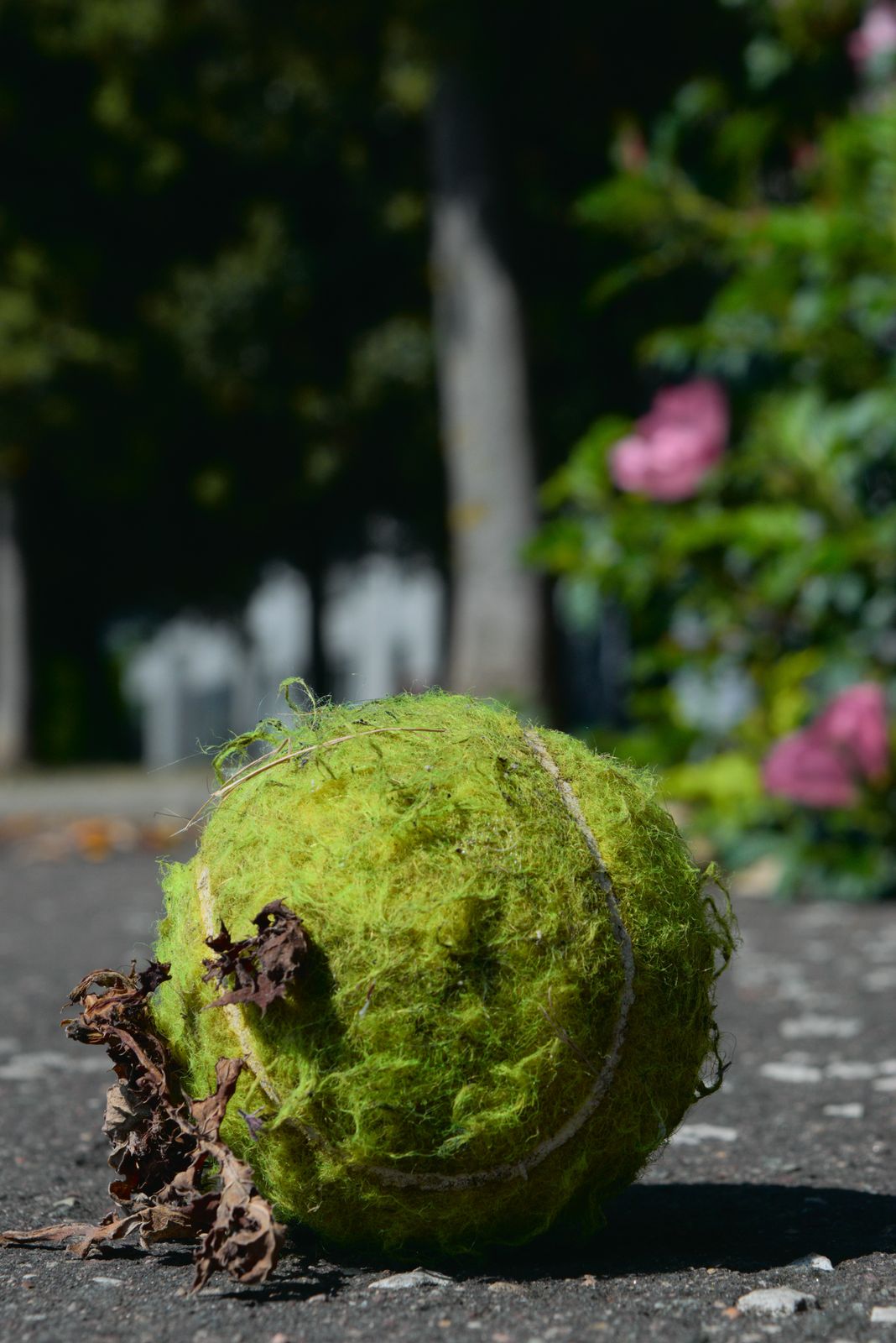 Photograph of decay and reclamation — a human-made structure being given back to time and nature