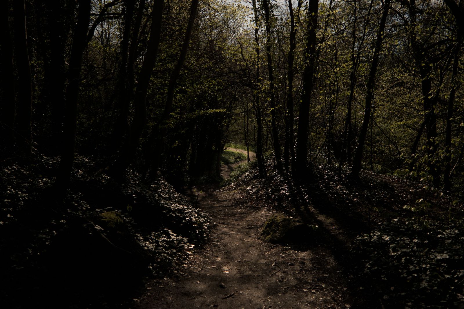 Edgelands photograph — a liminal, in-between place at the edge of the built world
