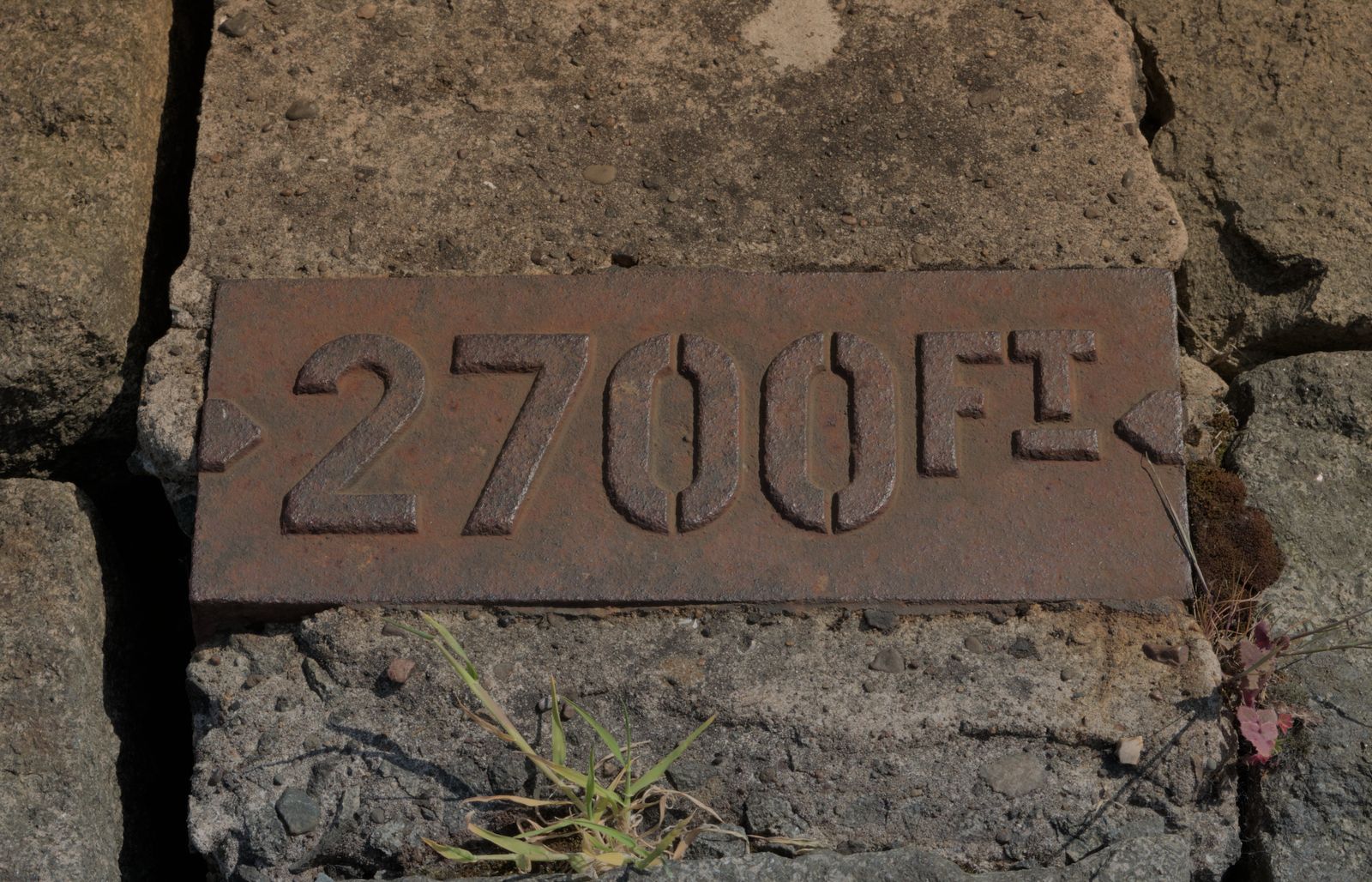 Photograph of a sign or marking out of context, left behind in an edgeland